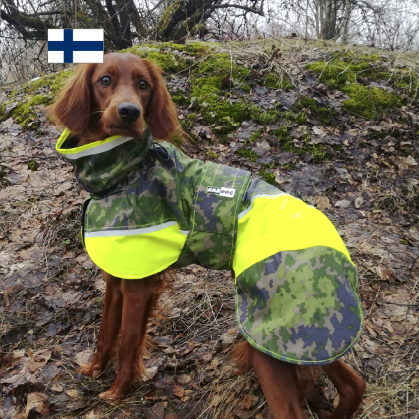 fanni sadetakki fanni sadetakki