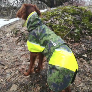 fanni sadetakki