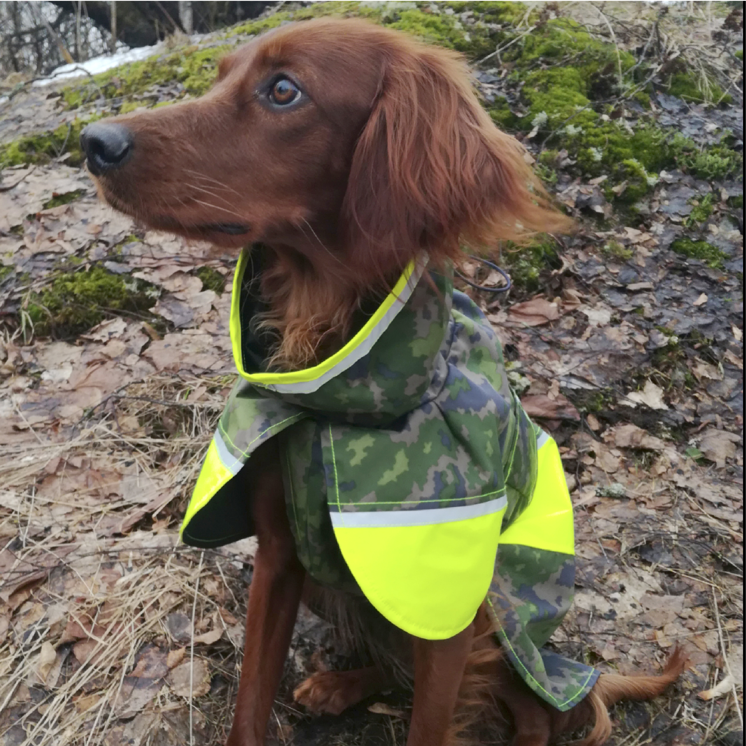 fanni sadetakki fanni sadetakki