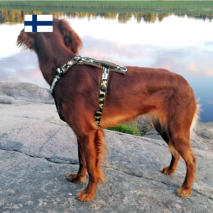 hulda camovaljas, vihreä