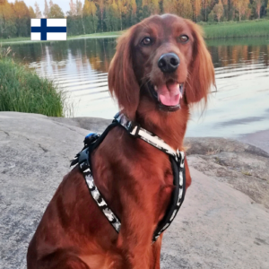 hulda camovaljas, musta
