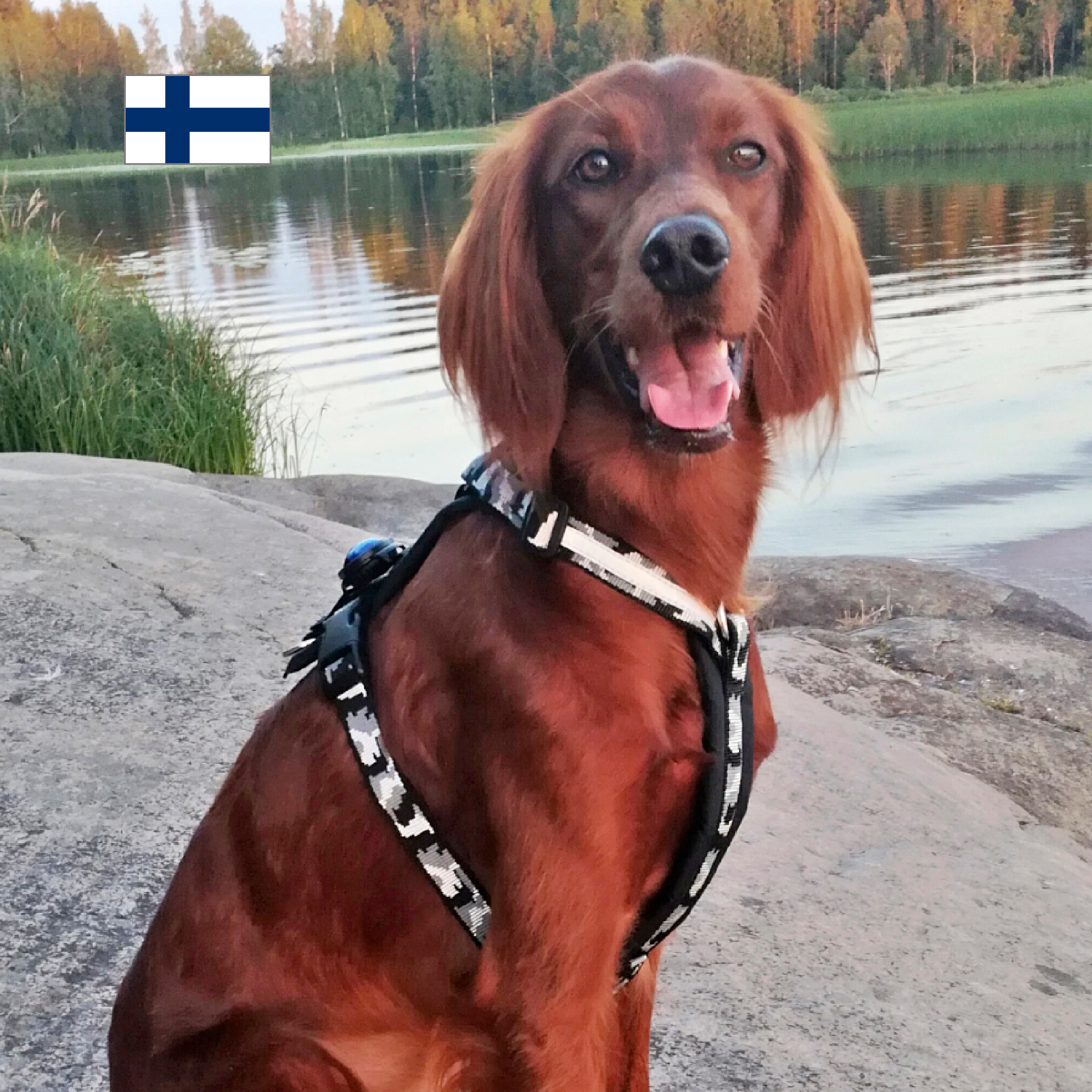 hulda camovaljas, musta hulda camovaljas, musta