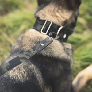 multicam hihna