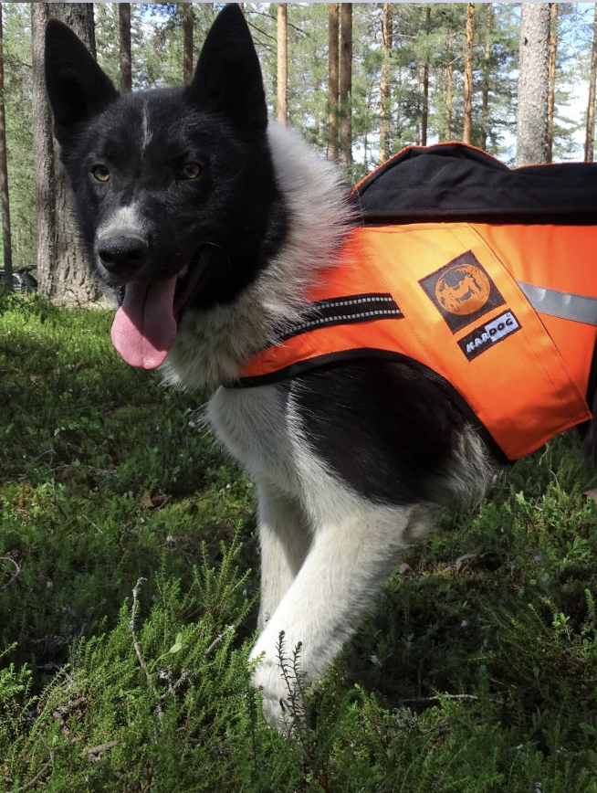 näyttökuva 2026 03 02 kello 22.19.17 näyttökuva 2026 03 02 kello 22.19.17