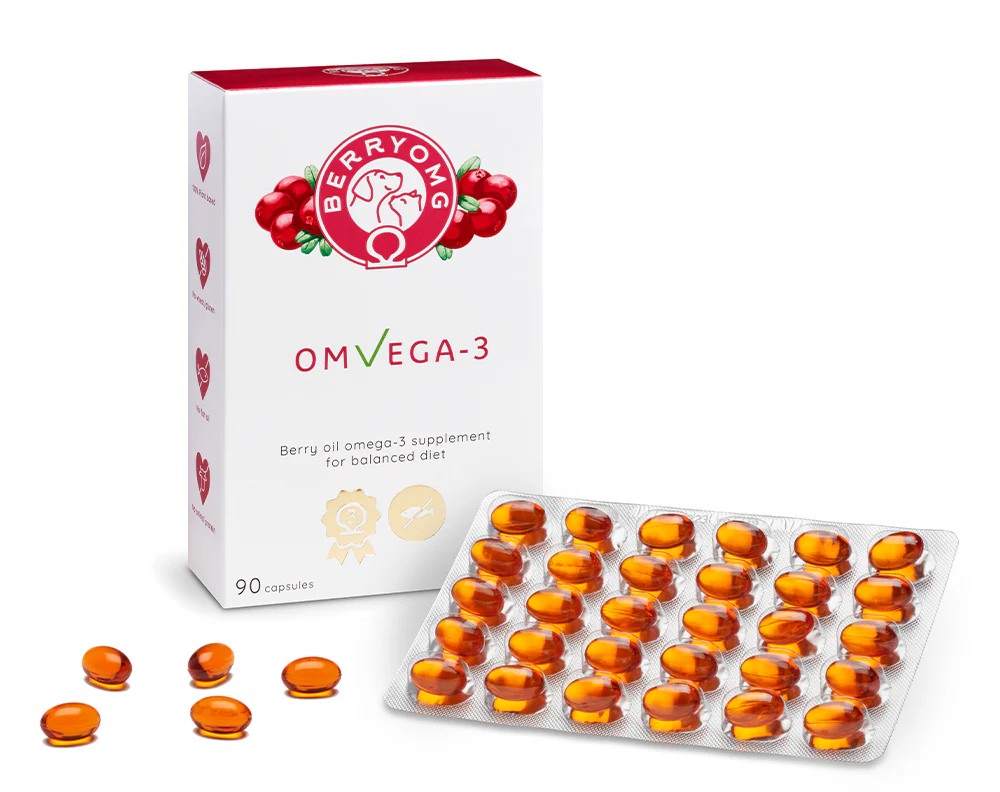omvega 3 4kpl – kalaöljytön omega 3 ravintolisä omvega 3 4kpl – kalaöljytön omega 3 ravintolisä